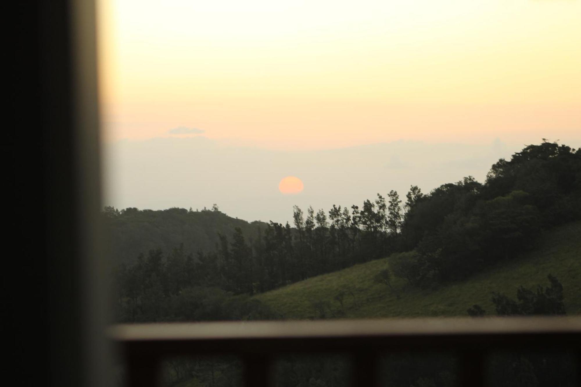 Hotel Bosque Verde Lodge Monteverde Bilik gambar