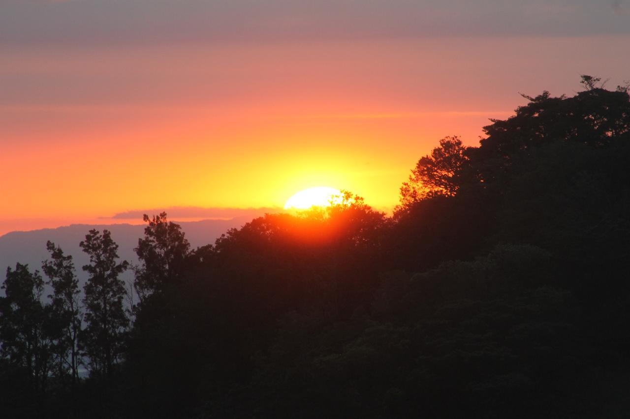 Hotel Bosque Verde Lodge Monteverde Luaran gambar