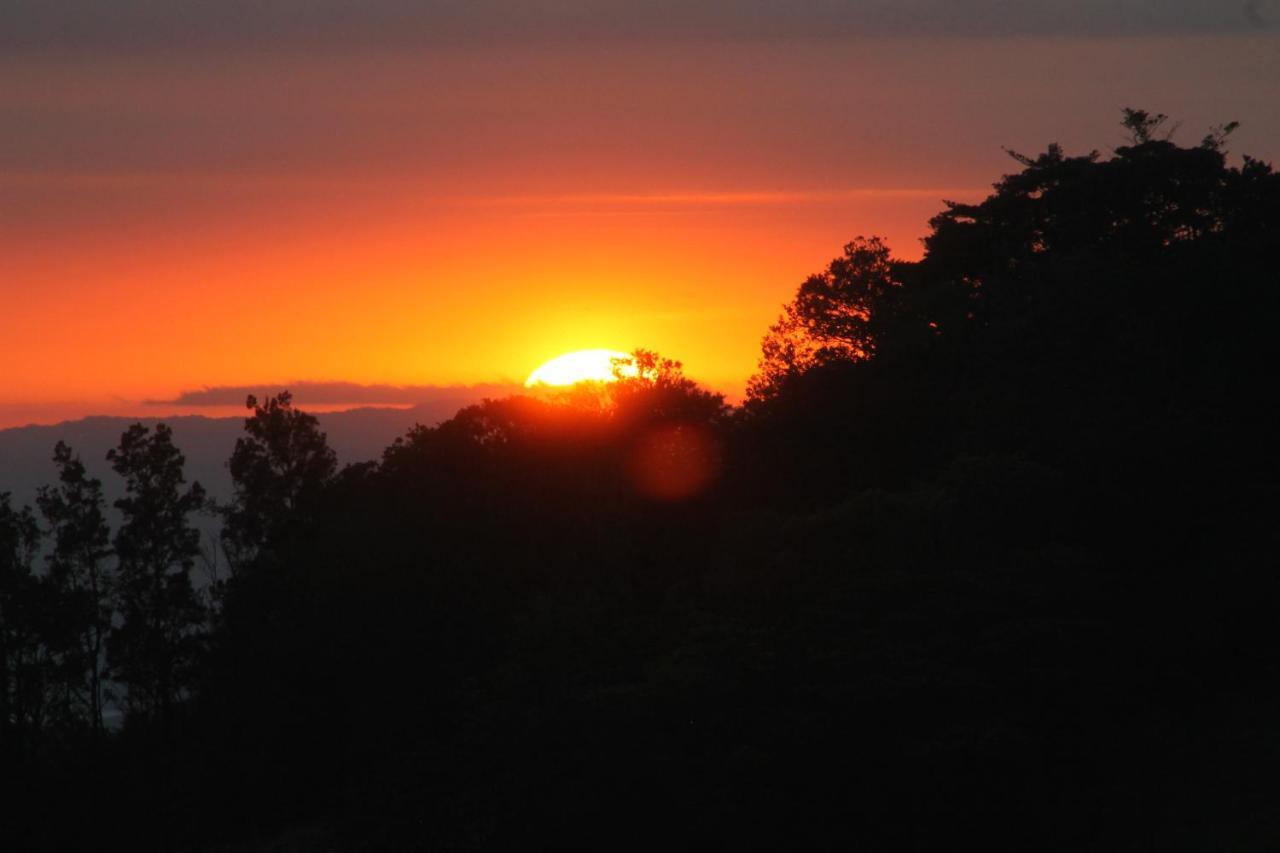 Hotel Bosque Verde Lodge Monteverde Luaran gambar