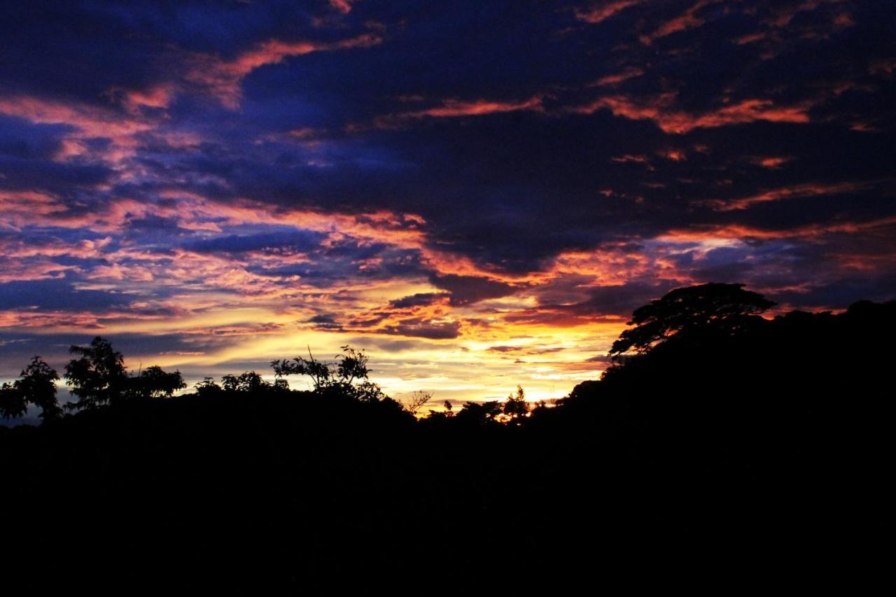 Hotel Bosque Verde Lodge Monteverde Luaran gambar