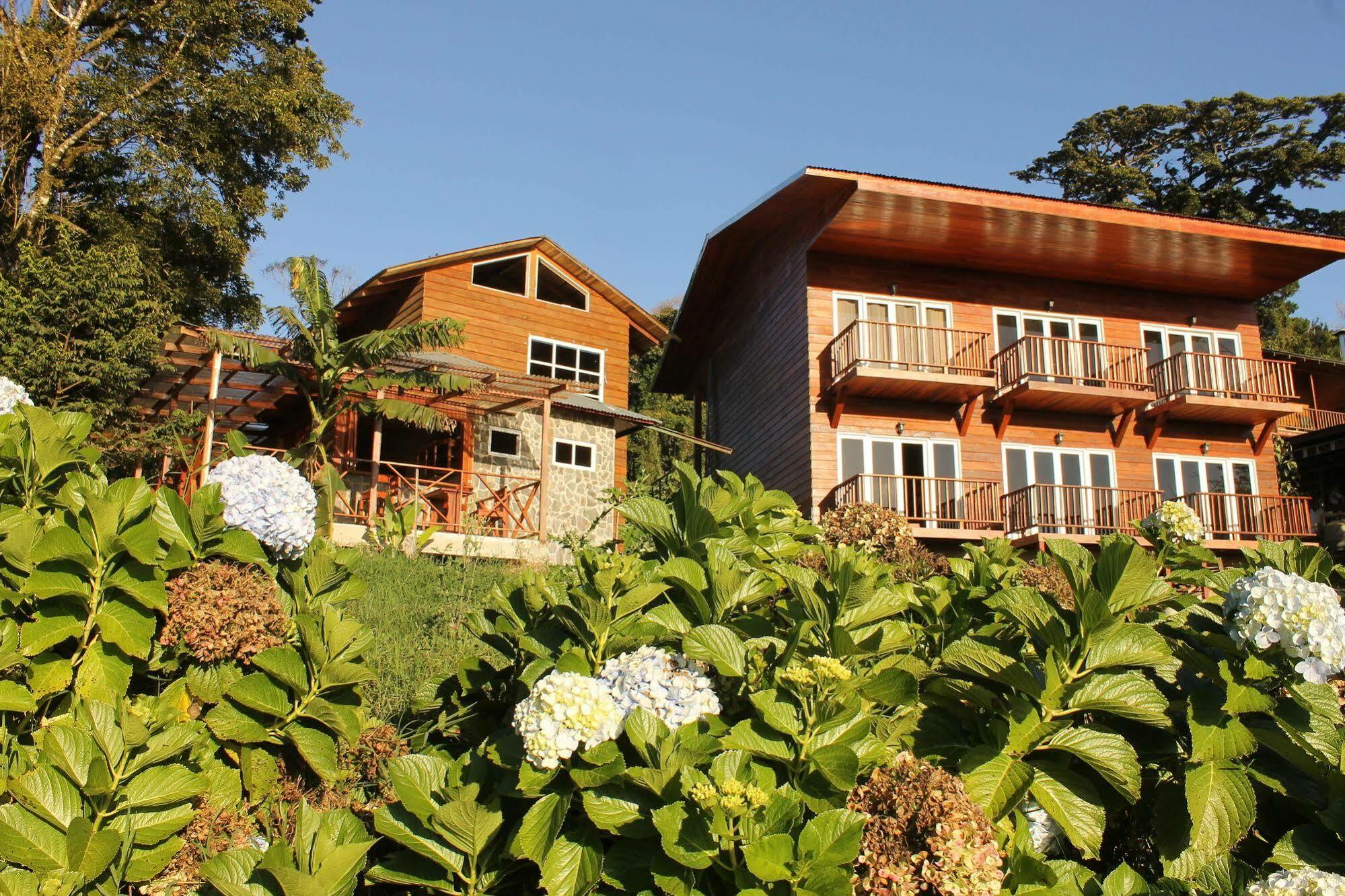 Hotel Bosque Verde Lodge Monteverde Luaran gambar