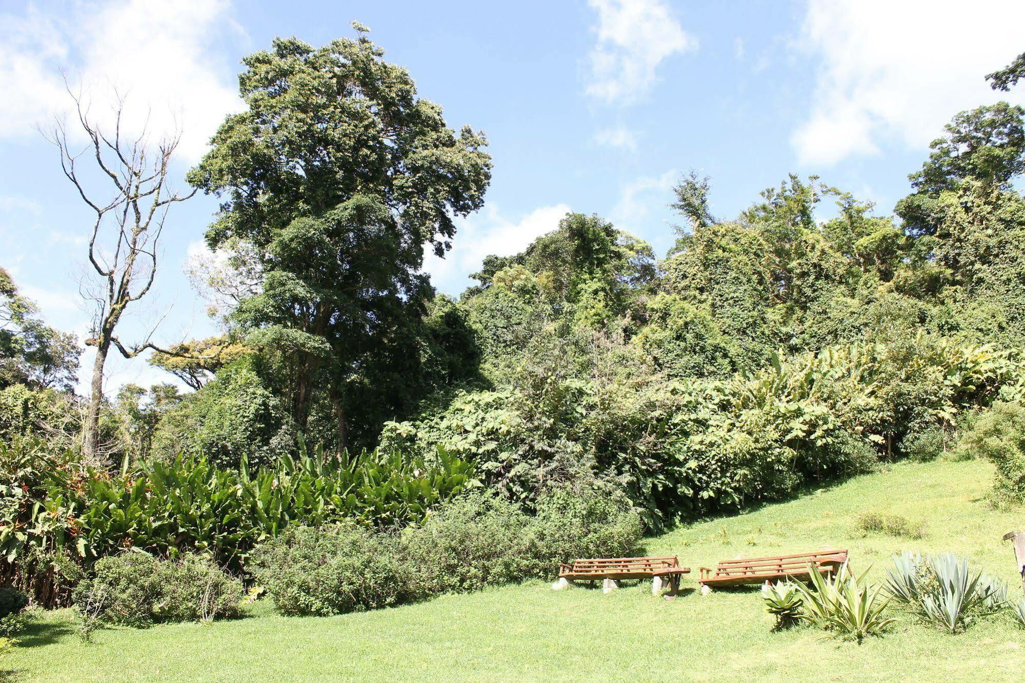 Hotel Bosque Verde Lodge Monteverde Luaran gambar
